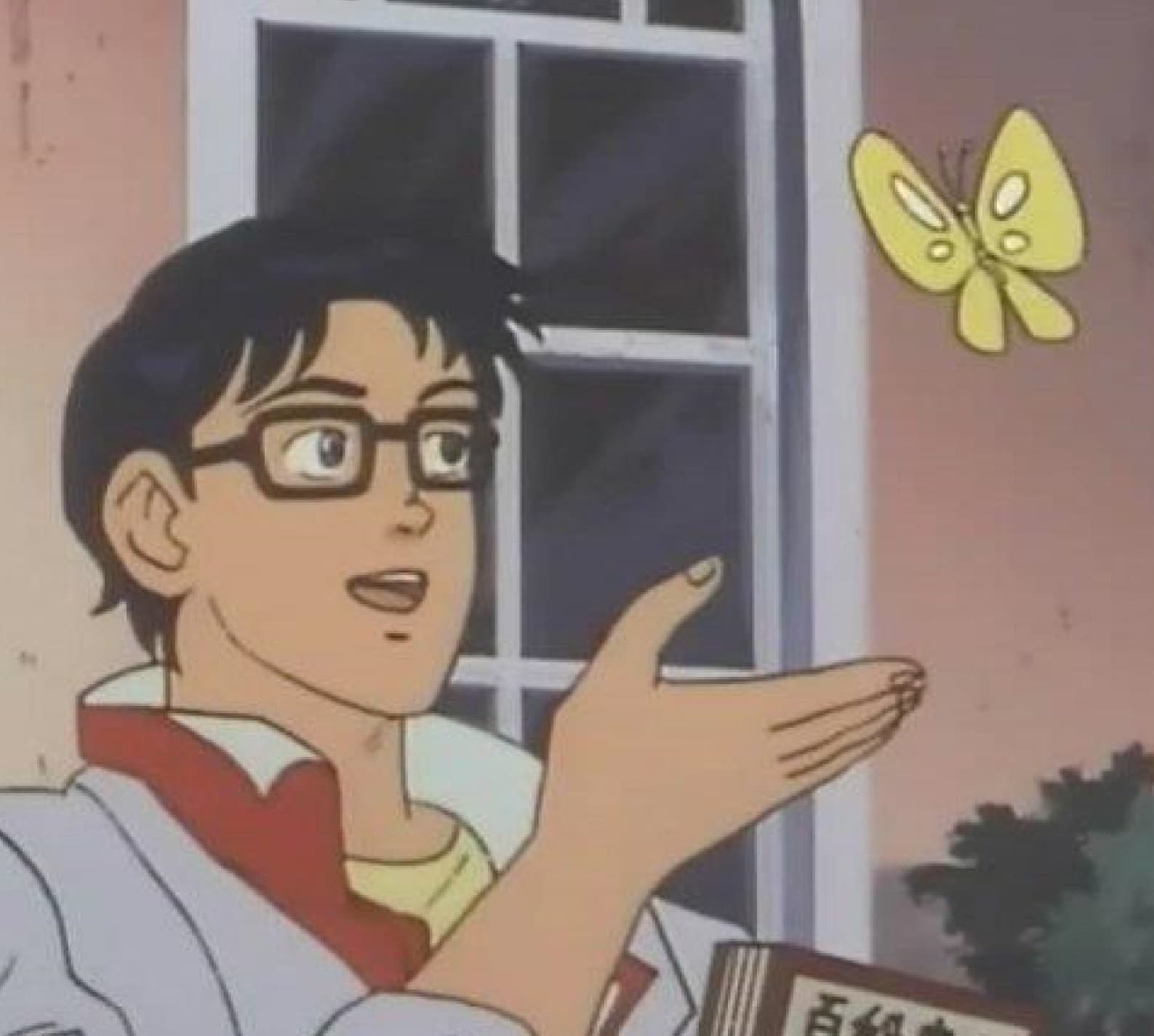 is this butterfly meme template